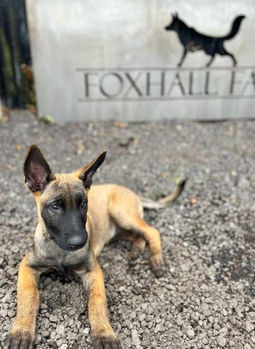Foxhall Farm Thirsk Ngoại thất bức ảnh